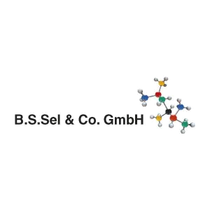 Bs Sel Logo
